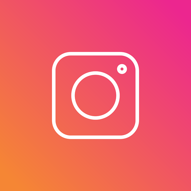 Logo de Instagram que dirige al Instagram de 'La Fritanguita'